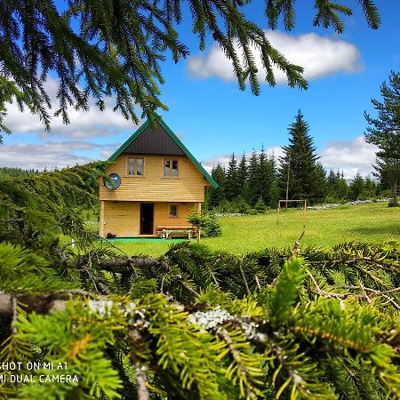 Eco House Villa Žabljak Buitenkant foto