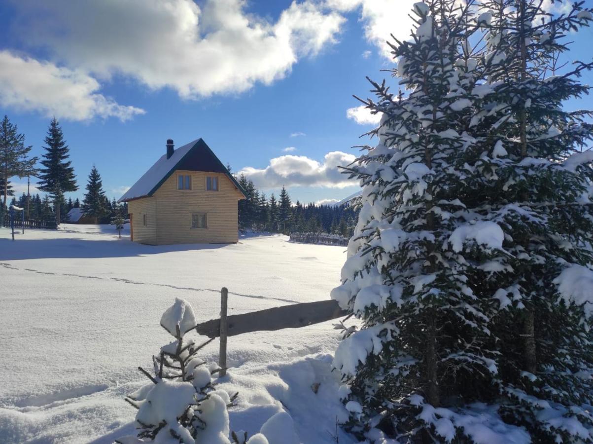 Eco House Villa Žabljak Buitenkant foto