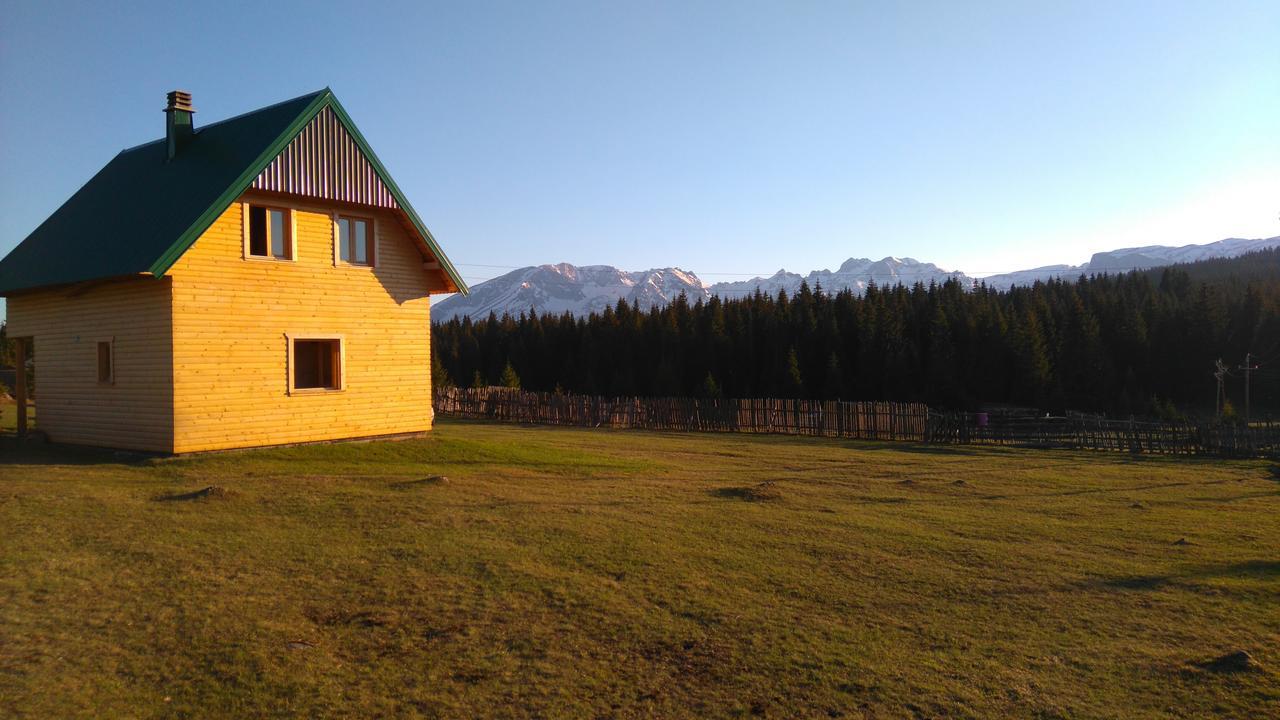 Eco House Villa Žabljak Buitenkant foto