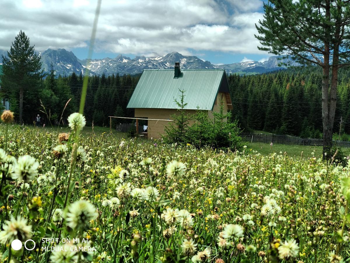 Eco House Villa Žabljak Buitenkant foto
